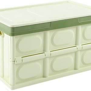 Beige Medium Trunk Storage Box with Lid